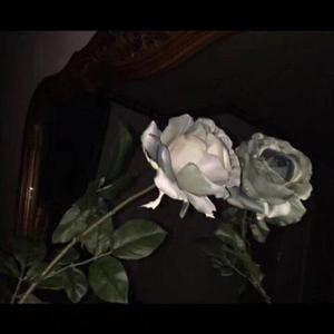 肌肉男做爱AV胸肌
