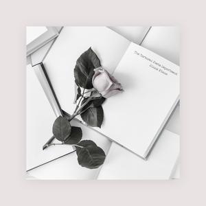 肌肉男做爱AV胸肌
